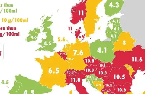 Ile cukru jest w fancie? Zaskakujące różnice w zawartości!