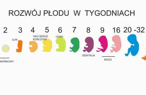 Poród i jego znaczenie dla rozwoju dziecka – co warto wiedzieć?