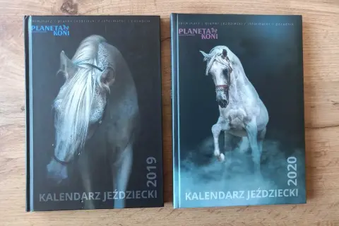 Najlepsze planery jeździeckie, które pomogą zorganizować treningi i życie stajenne