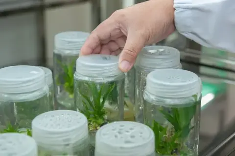 Czy po biotechnologii można uczyć w szkole? Sprawdź wymagania!