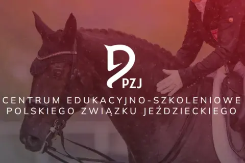 Akademia Jeździecka Prima – wyjątkowe programy jazdy konnej dla każdego