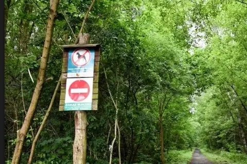 Jak należy zachować się w lesie, aby nie szkodzić naturze?