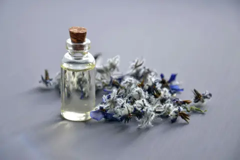 Dlaczego perfumy marki V Canto są jak zapachowe dzieła sztuki?
