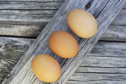 Czy jajka naprawdę podwyższają cholesterol? Fakty i mity o ich wpływie na zdrowie