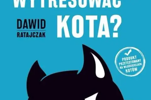 Jak wytresować kota skutecznie i bez stresu dla zwierzaka
