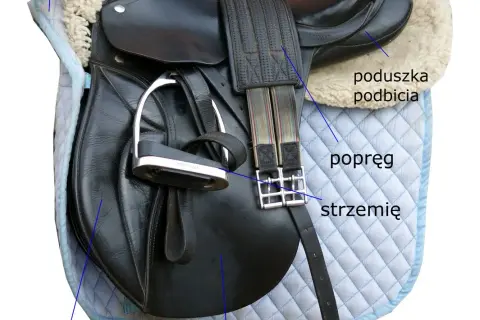 Z czego składa się siodło? Poznaj budowę i funkcje każdego elementu!