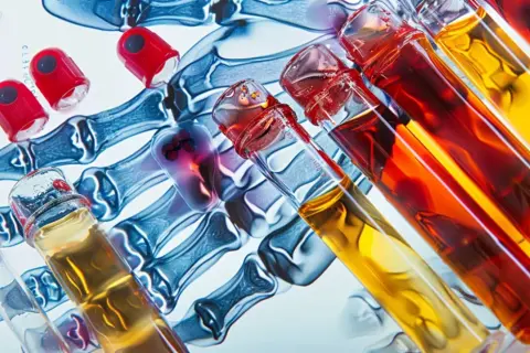 Jakie badania wykonać na RZS? Kompletna lista testów diagnostycznych