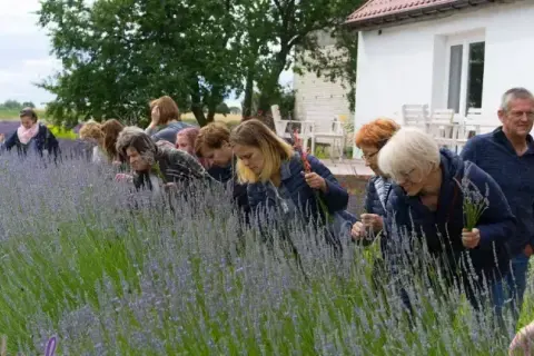 Zagroda edukacyjna jak założyć - uniknij najczęstszych błędów