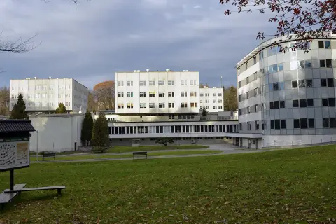 Jak długo trwa rehabilitacja w Reptach? Czas trwania i czynniki wpływające