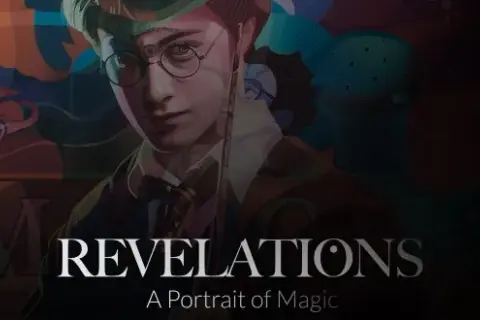 Harry Potter pop art - wyjątkowe plakaty, które musisz zobaczyć