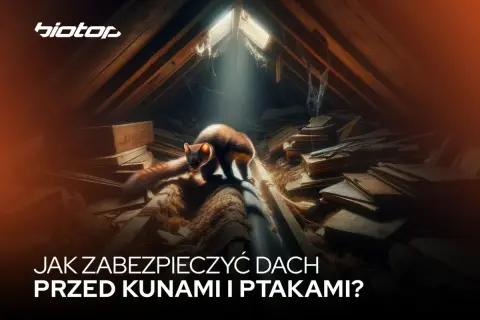 Jak zabezpieczyć poddasze przed kunami i uniknąć kosztownych szkód