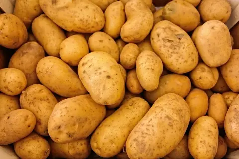 Ile kalorii ma ziemniaki pieczone? Zaskakujące fakty o kaloriach