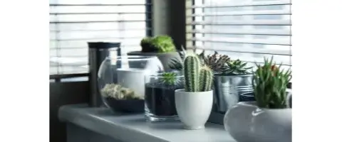 Maceta carita: alegra tu hogar con estas macetas divertidas y únicas