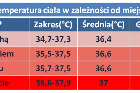 Kiedy z dzieckiem na pogotowie? Temperatura alarmowa i objawy