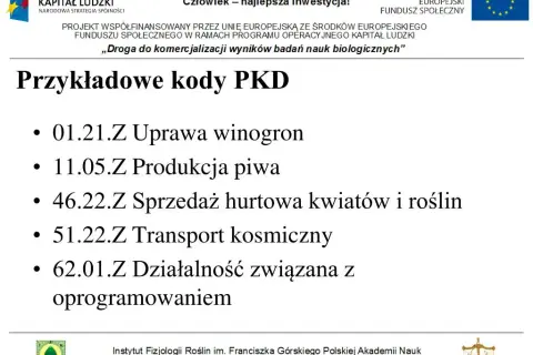 Komis samochodowy: Ukryty kod PKD, który musisz znać przed rozpoczęciem działalności