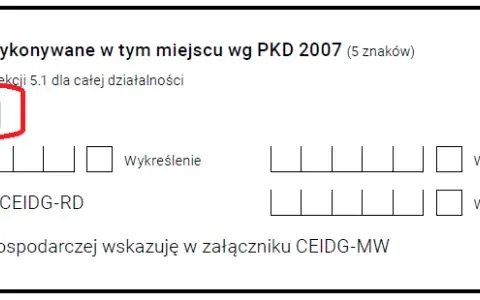 Ile kodów PKD w CEIDG? Unikaj błędów przy rejestracji firmy