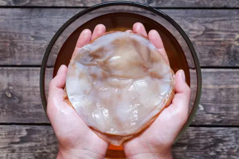 Jak przechowywać grzybek kombucha, aby nie stracił zdrowia i smaku