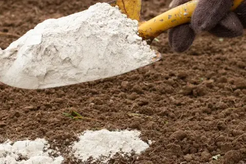 Kiedy stosować dolomit jako nawóz? Kluczowe informacje dla ogrodników
