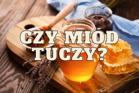 Czy miód jest dietetyczny? Odkryj prawdę o jego kaloriach i korzyściach