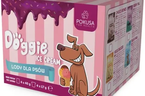 Gdzie kupić lody dla psa? Sprawdź najlepsze miejsca i oferty