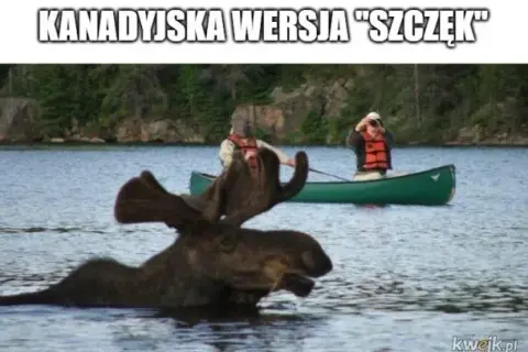 Pustka: Kanadyjski horror, który przeraża i fascynuje widzów