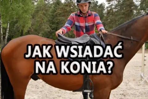 Jak wsiadać na konia: uniknij błędów i wsiądź pewnie na siodło