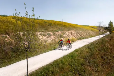 Fajne trasy rowerowe w Polsce, które musisz poznać i pokochać