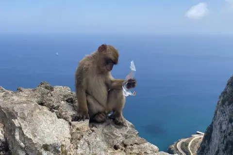 Niezapomniane atrakcje w Gibraltarze, które musisz zobaczyć