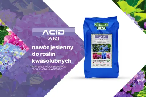 Jaki nawóz jesienny do hortensji zapewni zdrowy rozwój roślin?