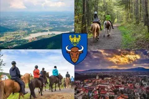 Najlepsze stadniny koni w Żywcu – usługi, opinie i lokalizacje