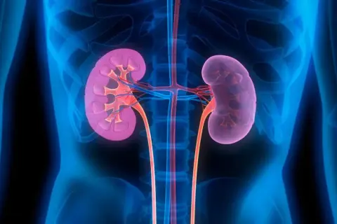 Kto leczy nerki? Nefrolog i jego rola w diagnozowaniu chorób nerek