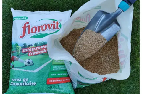 Jaki nawóz na trawnik w czerwcu, aby uniknąć błędów w pielęgnacji?