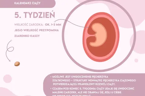 Czy w 5 tygodniu lekarz potwierdzi ciążę? Sprawdź, co warto wiedzieć