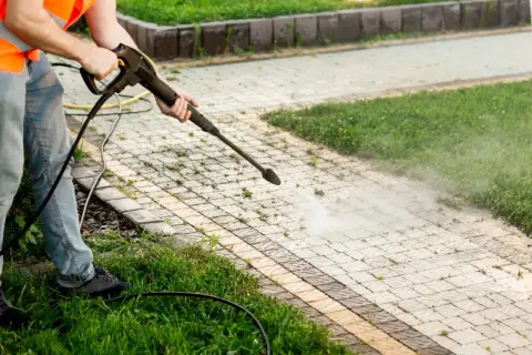 Skuteczne sposoby na zwalczenie chwastów na chodniku bez chemii