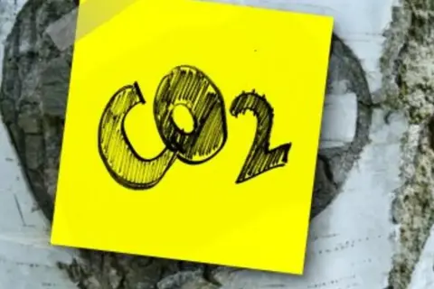Emisja CO2 w Polsce: Jak znacząco spadły emisje i co to oznacza?