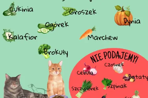Czy koty mogą jeść pietruszkę: Zaskakująca prawda o bezpieczeństwie podawania