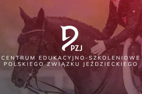 Akademia jeździecka - odkryj tajniki skutecznego szkolenia jeździeckiego