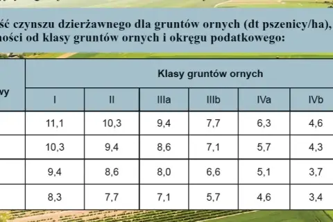 Czynsz dzierżawny – co to jest i jak uniknąć problemów prawnych?