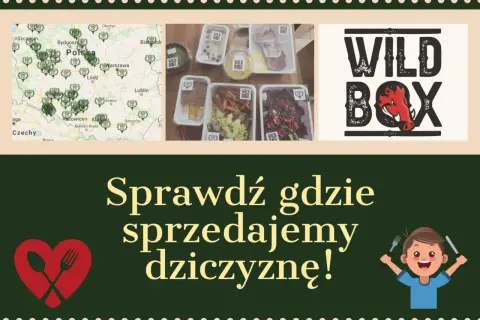 Gdzie można kupić dziczyznę? Sprawdź najlepsze źródła w Polsce