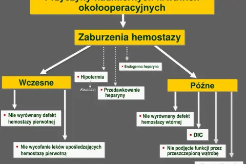 Objawy zaburzeń hemostazy – jak rozpoznać problemy z krzepnięciem krwi?