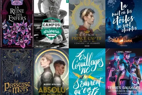 Affiche de livres de littérature young adult : "La Reine des Enfers", "Campus Drivers", "Prince Captif", "La nuit où les étoiles se sont éteintes", "La Passeuse de mots", "Absolu", "Les Coquillages ne s'ouvrent qu'en été", "Terres Sauvages".