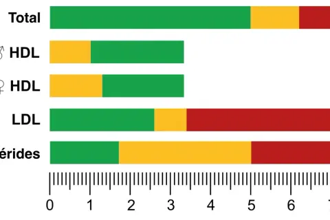 Graphique illustrant un bilan lipidique complet : taux total, HDL (homme/femme), LDL et triglycérides, avec des barres colorées indiquant les niveaux.