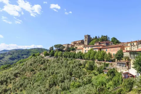 Panoramica di un borgo collinare con case colorate e un campanile, circondato da uliveti e vegetazione lussureggiante. Un'idea di cosa vedere a Montecatini Terme.