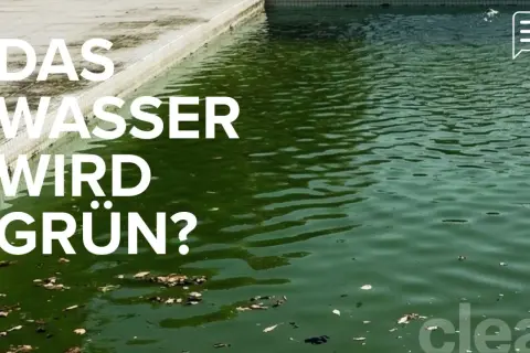 Grünes Poolwasser? Erfahren Sie, wie Sie mit Hausmitteln den Chlorgehalt senken und das Wasser wieder klar bekommen.