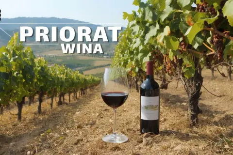Winnica w Priorat, z butelką i kieliszkiem czerwonego wina na pierwszym planie.