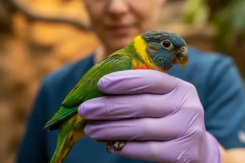 Ile zarabia weterynarz w zoo? Zaskakujące fakty o wynagrodzeniach