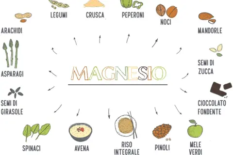 Fonti di magnesio: arachidi, legumi, crusca, peperoni, noci, mandorle, asparagi, semi di girasole, semi di zucca, cioccolato fondente, spinaci, avena, riso integrale, pinoli, mele verdi.