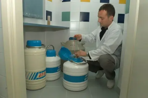 Ile można zarobić na oddawaniu nasienia w banku spermy w Polsce?