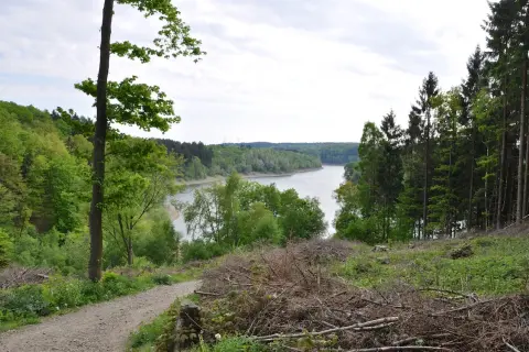 Ein Weg führt am Ufer der Wuppertalsperre entlang, umgeben von üppigem Grün und Bäumen.