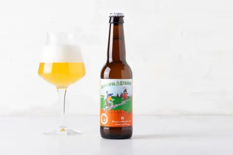 Bicchiere di birra dorata con schiuma bianca accanto a una bottiglia di birra "Beautiful & Strange" Gose, una birra salata dal gusto unico.